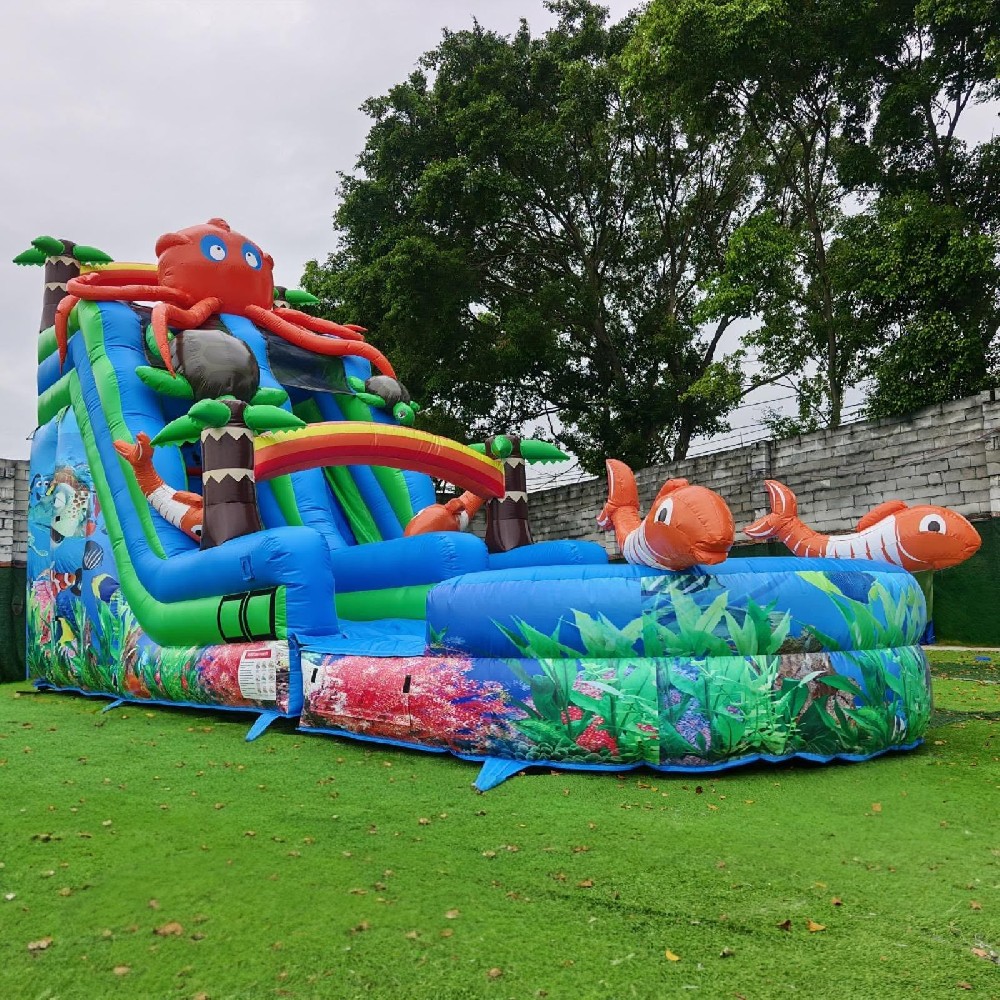 KFS125-Giant Inflatable Double Dolphin Water Slide & Bounce House for Adults and Kids Outdoor Water Play Sport